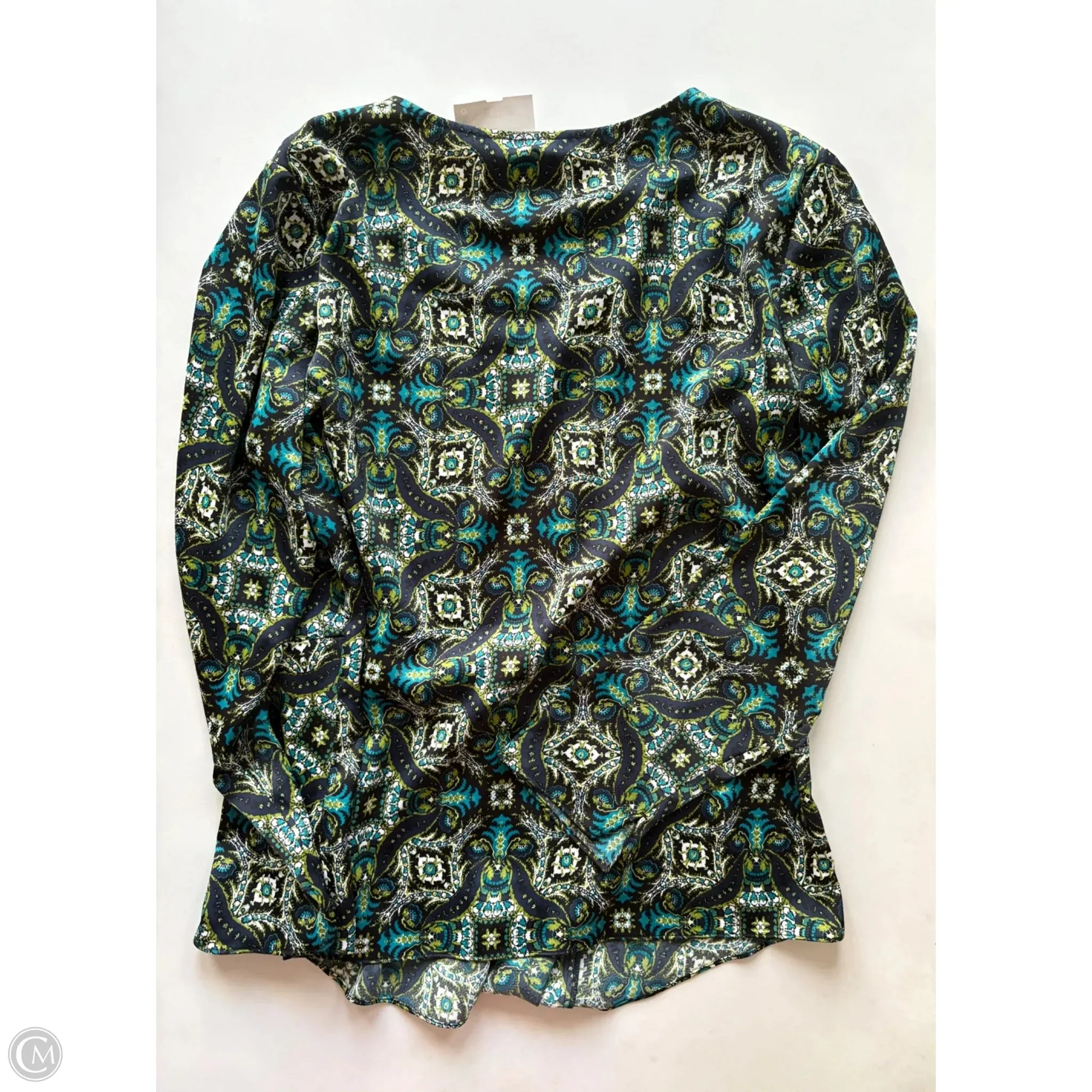 Blouse Long Sleeve By Limited In Green, Size: L