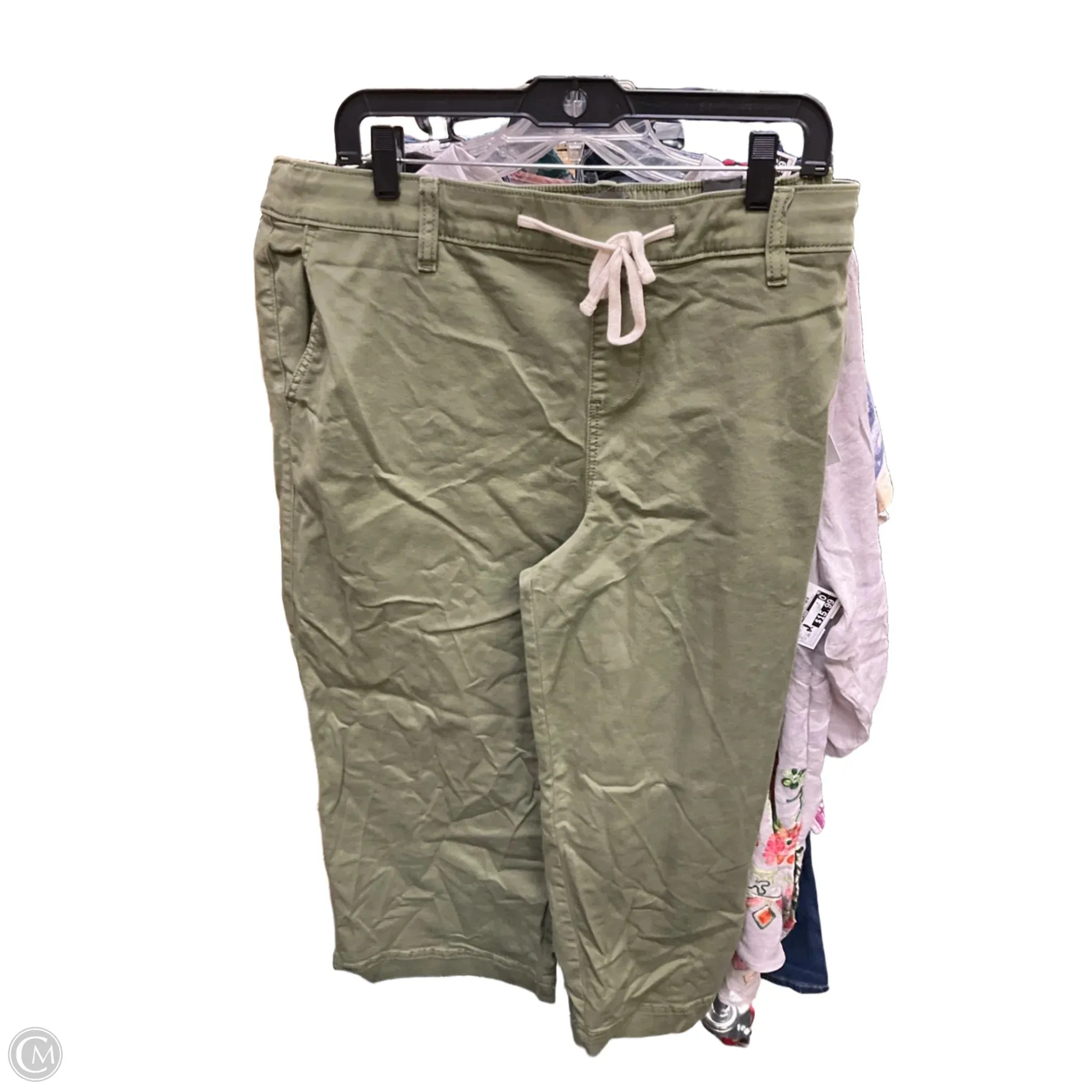 Capris By Torrid In Green, Size: 3x