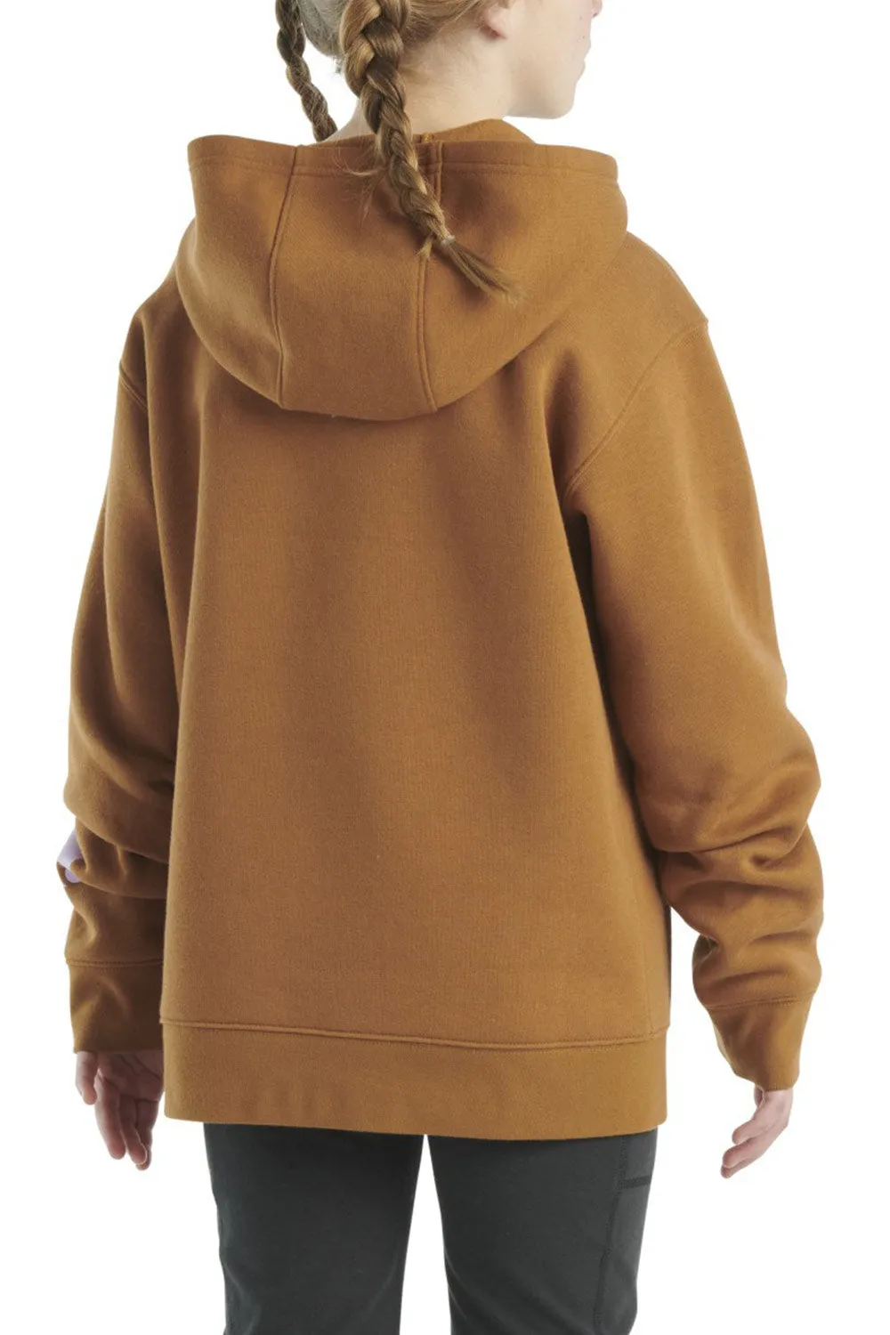 Carhartt Kids Graphic Hooded Sweatshirt for Girls in Brown | CA7057-D15-XC2-BRN
