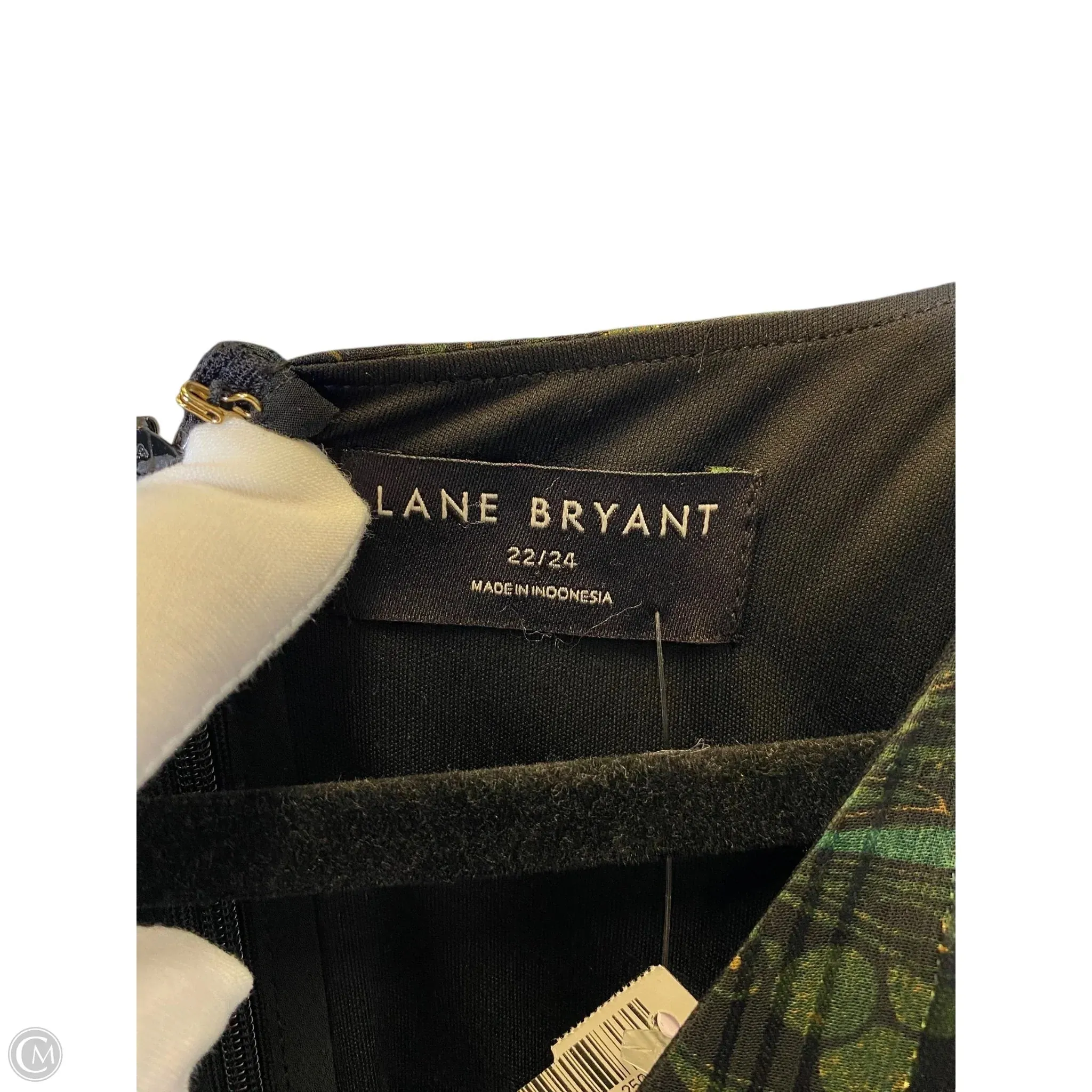 Dress Casual Maxi By Lane Bryant In Green, Size: 3x