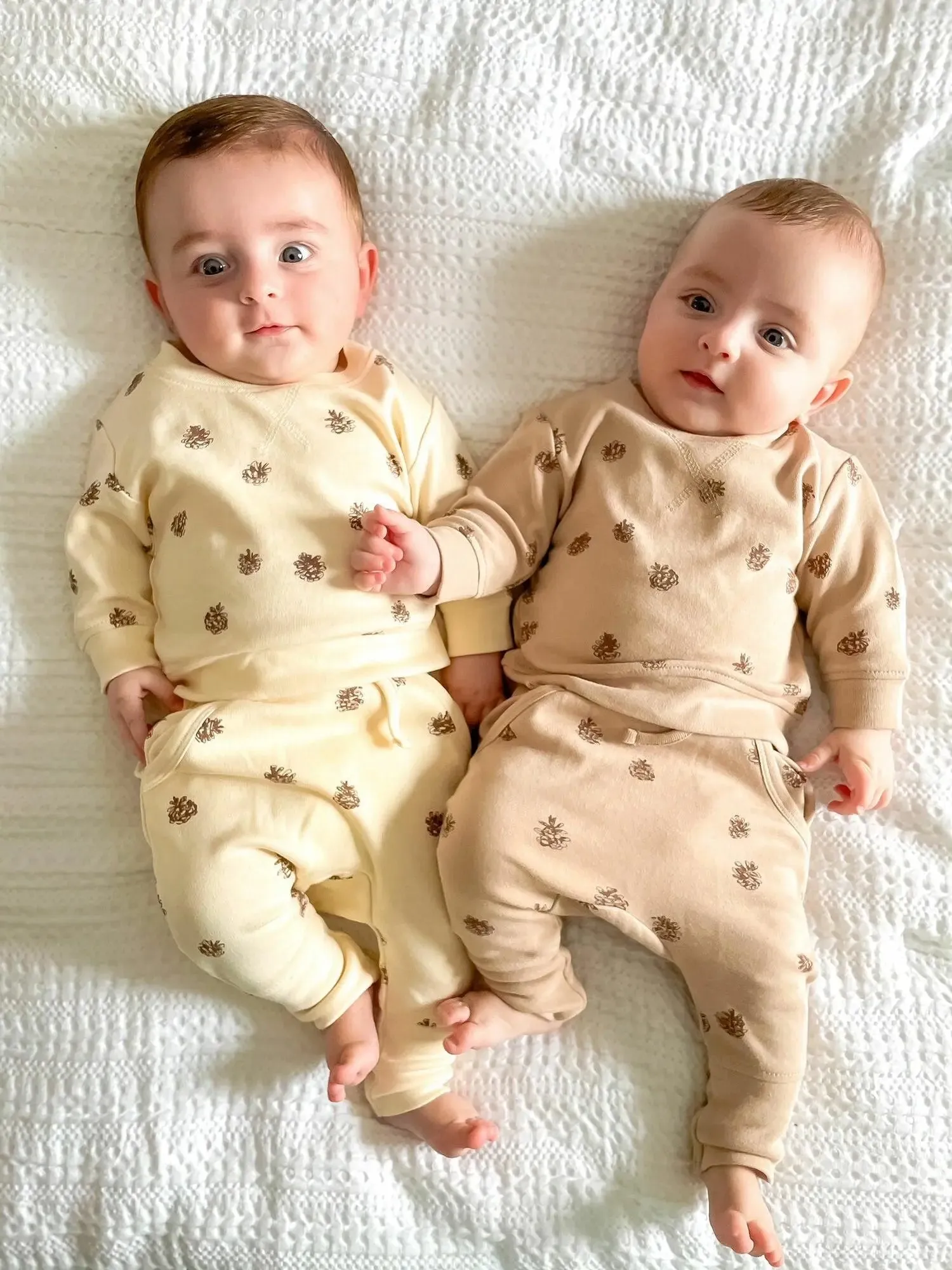 Organic Printed Sweatshirt & Jogger Set in Oatmeal Pinecone | L’ovedbaby