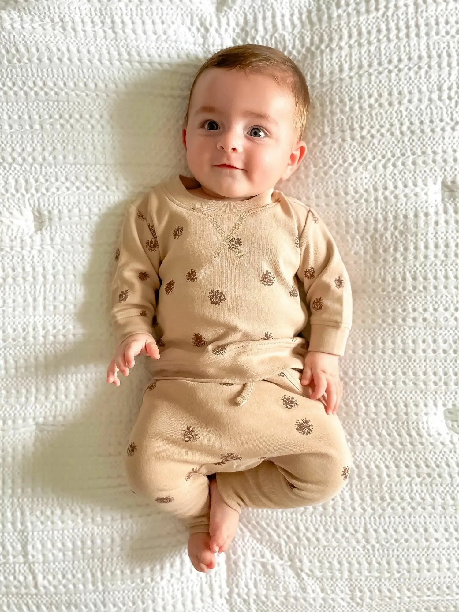 Organic Printed Sweatshirt & Jogger Set in Oatmeal Pinecone | L’ovedbaby