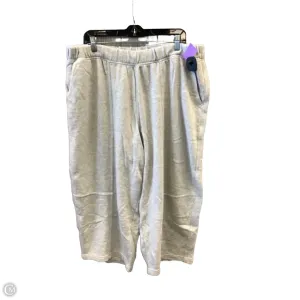 Pants Wide Leg By Aerie In Grey, Size: 14
