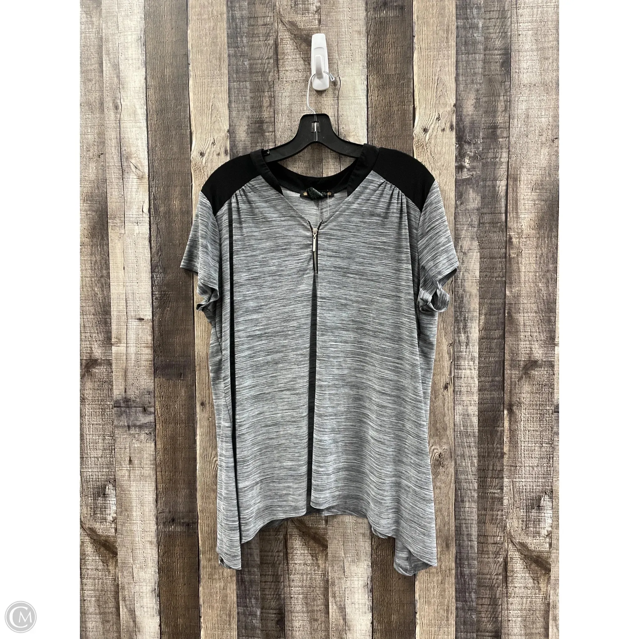 Top Short Sleeve By Cme In Grey, Size: 1x